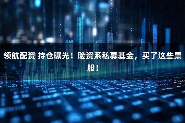 领航配资 持仓曝光！险资系私募基金，买了这些票股！